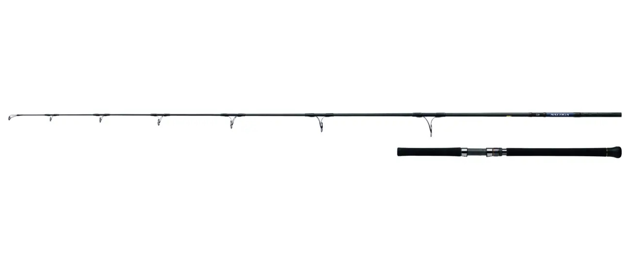 DAIWA SALTIGA CASTING - SPINNING - immagine 2