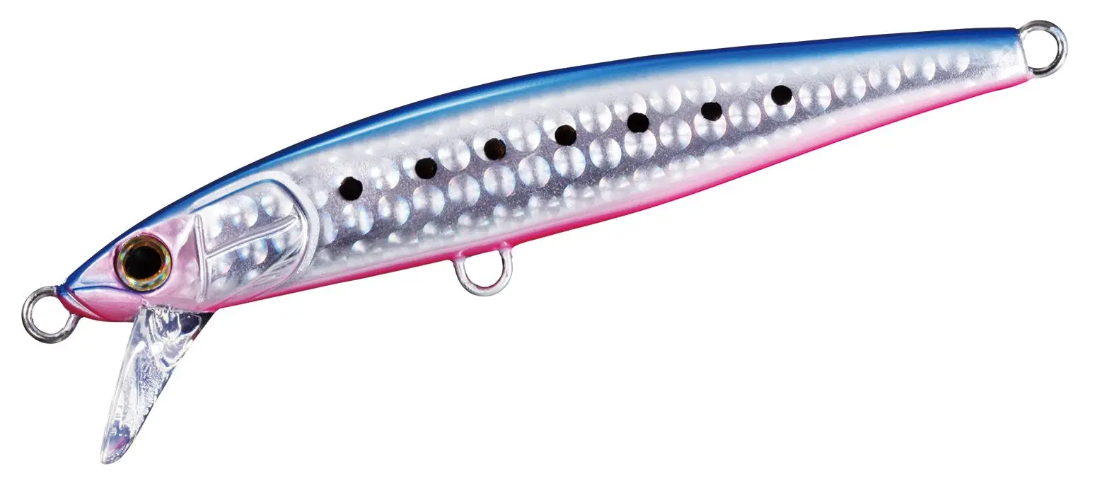 DAIWA SAWARASH - immagine 2