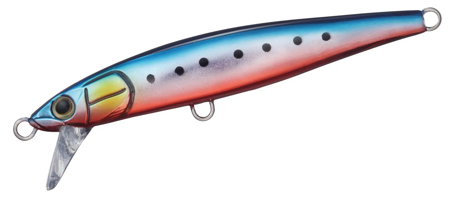 DAIWA SAWARASH - immagine 5