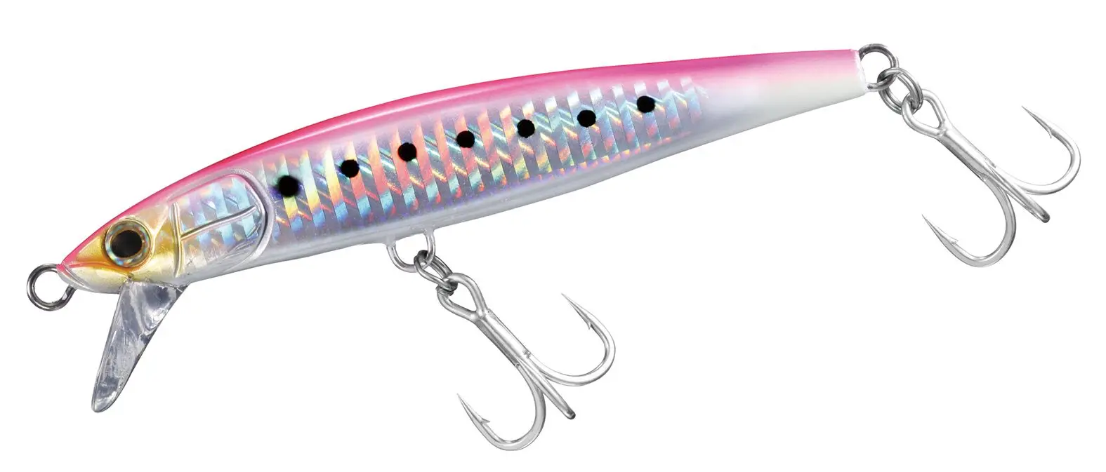 DAIWA SAWARASH - immagine 6