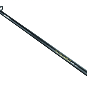 Alternative view of DAIWA TOURNAMENT AGS - SPINNING