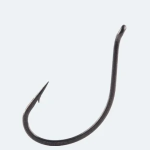 BKK DSS-WORM