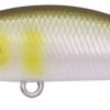 ANI4010