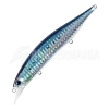 AHA0011