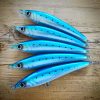 SARDINE