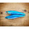 SARDINE