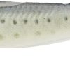 #06