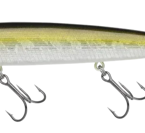 Alternative view of NORIES BIHADOU 110