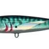 BLUE MACKEREL