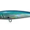 SARDINE