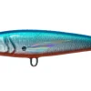 SARDINE