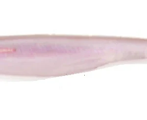 Alternative view of SIGNAL WAKA BAIT 5"