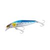 N Sardine