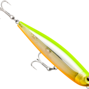 RAPALA PRECISION XTREME PENCIL 107 SALTWATER