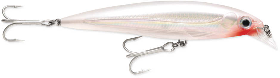 RAPALA X-RAP SALTWATER 10 CM - immagine 2