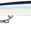 HGSP