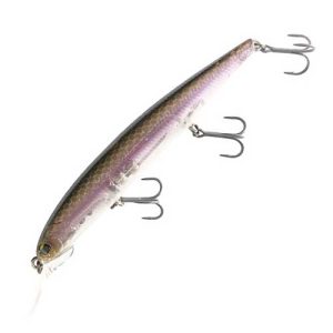 IMAKATSU DARDO 100 SP