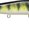 PEL