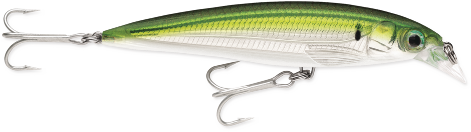 RAPALA X-RAP SALTWATER 10 CM - immagine 3
