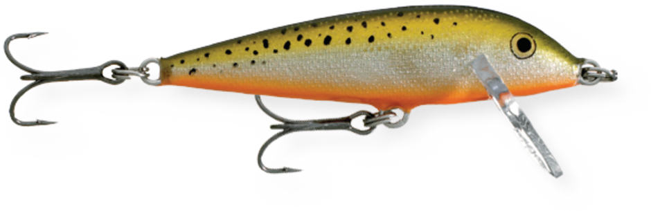 RAPALA COUNTDOWN 5 CM (CD05) - immagine 4