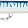 SBM