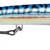 SBML