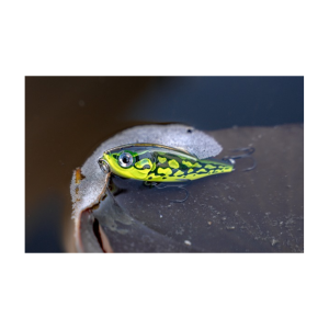 RAPALA X-LIGHT PENCIL 05