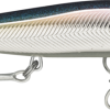 Baitfish